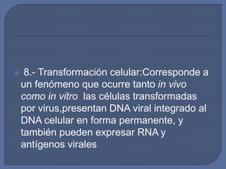  8.- Transformación celular:Corresponde a
un fenómeno que ocurre tanto in vivo
como in vitro las células transformadas
por virus,presentan DNA viral integrado al
DNA celular en forma permanente, y
también pueden expresar RNA y
antígenos virales
 