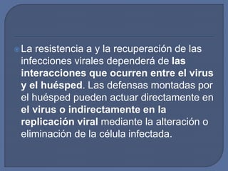 La resistencia a y la recuperación de las
infecciones virales dependerá de las
interacciones que ocurren entre el virus
y el huésped. Las defensas montadas por
el huésped pueden actuar directamente en
el virus o indirectamente en la
replicación viral mediante la alteración o
eliminación de la célula infectada.
 