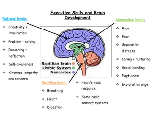 Reptilian brain:
 Breathing
 Heart
 Digestion
 Fear/stress
response
 Some basic
sensory systems
Mammalian brain:
 Rage
 Fear
 Separation
distress
 Caring + nurturing
 Social bonding
 Playfulness
 Explorative urge
Rational brain:
 Creativity +
imagination
 Problem - solving
 Reasoning +
reflection
 Self-awareness
 Kindness, empathy
and concern
Executive Skills and Brain
Development
 