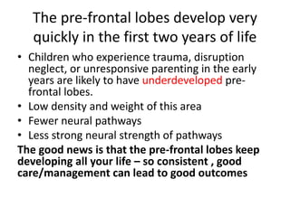 The pre-frontal lobes develop very
quickly in the first two years of life
• Children who experience trauma, disruption
neglect, or unresponsive parenting in the early
years are likely to have underdeveloped pre-
frontal lobes.
• Low density and weight of this area
• Fewer neural pathways
• Less strong neural strength of pathways
The good news is that the pre-frontal lobes keep
developing all your life – so consistent , good
care/management can lead to good outcomes
 