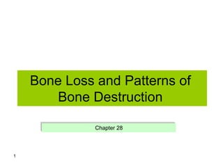 Bone Loss and Patterns of
Bone Destruction
Chapter 28
1
 