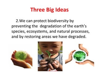Three Big Ideas
2.We can protect biodiversity by
preventing the degradation of the earth’s
species, ecosystems, and natural processes,
and by restoring areas we have degraded.
 