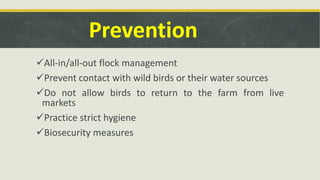 Prevention
All-in/all-out flock management
Prevent contact with wild birds or their water sources
Do not allow birds to return to the farm from live
markets
Practice strict hygiene
Biosecurity measures
 