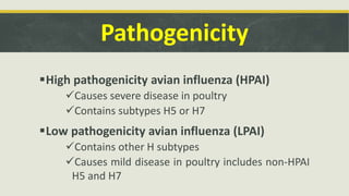 Pathogenicity
High pathogenicity avian influenza (HPAI)
Causes severe disease in poultry
Contains subtypes H5 or H7
Low pathogenicity avian influenza (LPAI)
Contains other H subtypes
Causes mild disease in poultry includes non-HPAI
H5 and H7
 