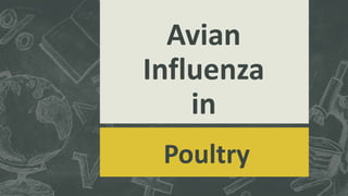 Avian
Influenza
in
Poultry
 