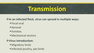 Transmission
In an infected flock, virus can spread in multiple ways:
Fecal-oral
Aerosol
Fomites
Mechanical vectors
Virus introduction:
Migratory birds
Infected poultry, pet birds
 