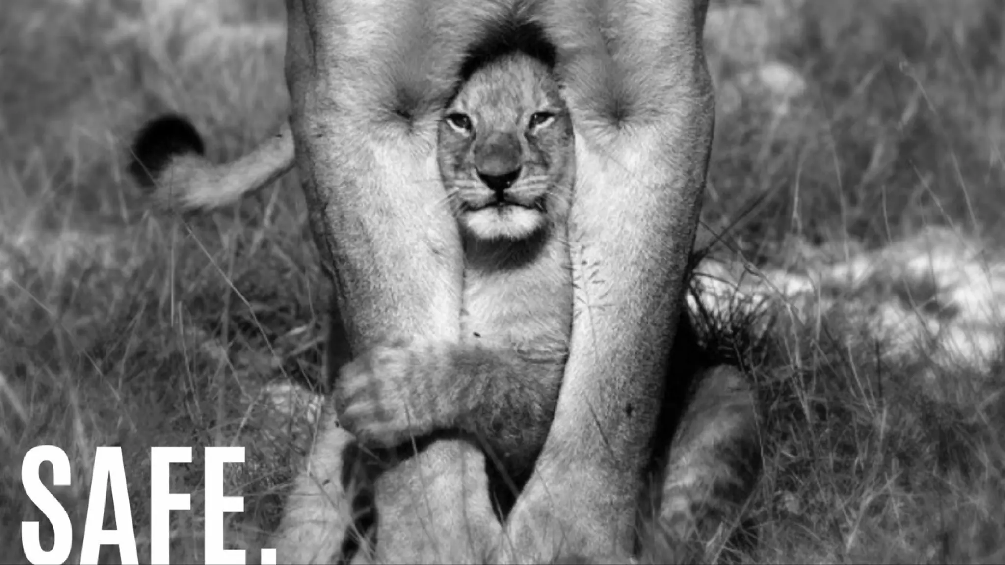 Attachment Theory In Practice