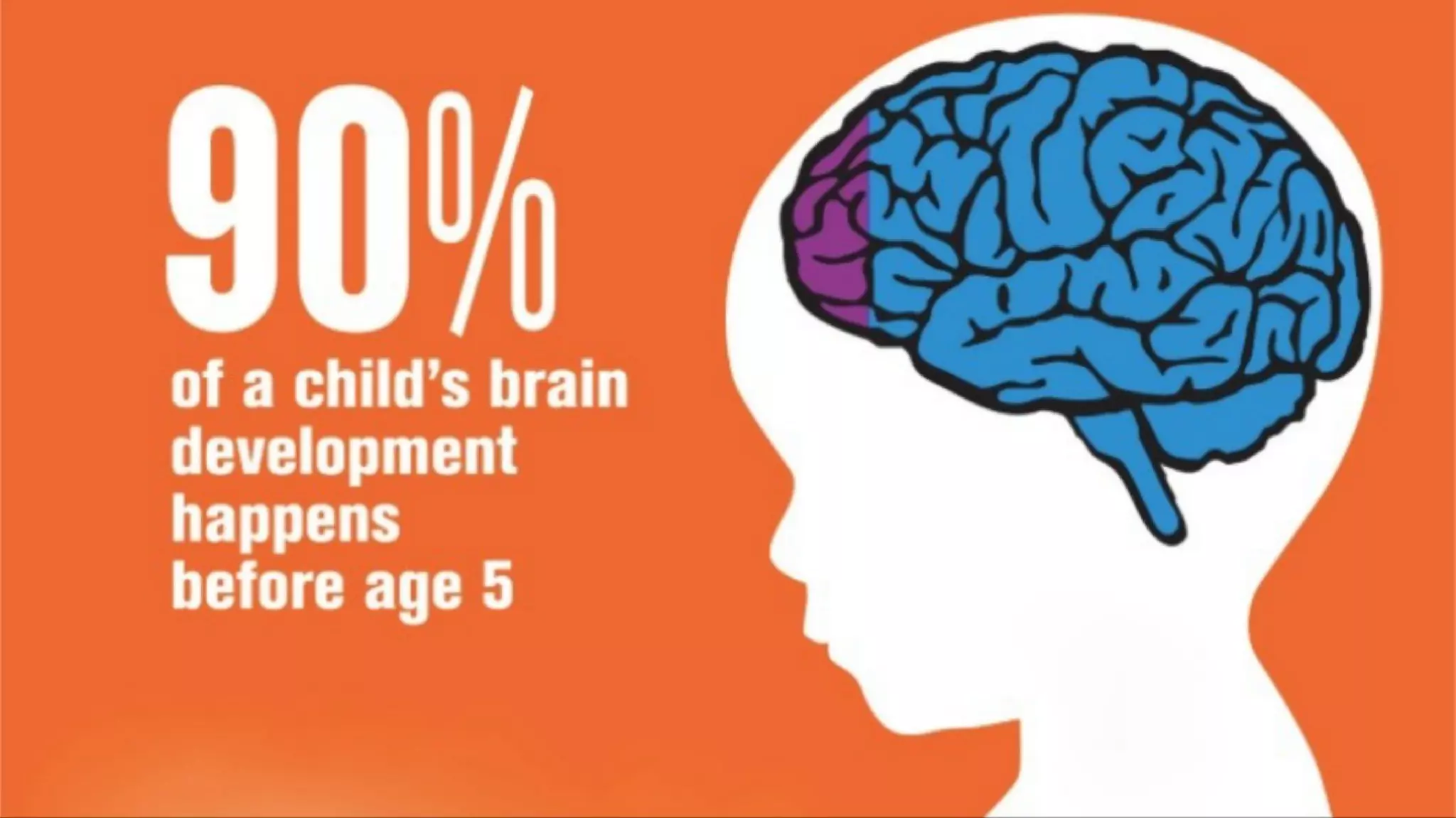 Attachment Theory In Practice