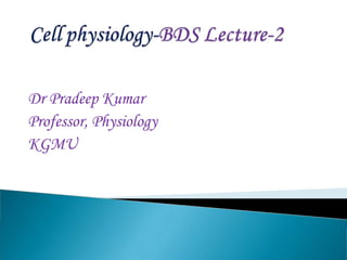 Dr Pradeep Kumar
Professor, Physiology
KGMU
 