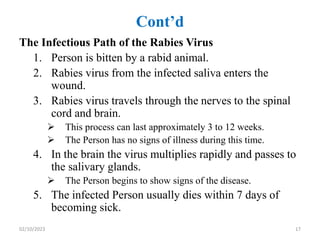 Cont’d
The Infectious Path of the Rabies Virus
1. Person is bitten by a rabid animal.
2. Rabies virus from the infected saliva enters the
wound.
3. Rabies virus travels through the nerves to the spinal
cord and brain.
 This process can last approximately 3 to 12 weeks.
 The Person has no signs of illness during this time.
4. In the brain the virus multiplies rapidly and passes to
the salivary glands.
 The Person begins to show signs of the disease.
5. The infected Person usually dies within 7 days of
becoming sick.
02/10/2023 17
 