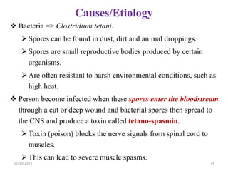 Causes/Etiology
 Bacteria => Clostridium tetani.
Spores can be found in dust, dirt and animal droppings.
Spores are small reproductive bodies produced by certain
organisms.
Are often resistant to harsh environmental conditions, such as
high heat.
 Person become infected when these spores enter the bloodstream
through a cut or deep wound and bacterial spores then spread to
the CNS and produce a toxin called tetano-spasmin.
Toxin (poison) blocks the nerve signals from spinal cord to
muscles.
This can lead to severe muscle spasms.
02/10/2023 24
 