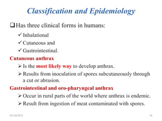 Classification and Epidemiology
Has three clinical forms in humans:
 Inhalational
 Cutaneous and
 Gastrointestinal.
Cutaneous anthrax
Is the most likely way to develop anthrax.
Results from inoculation of spores subcutaneously through
a cut or abrasion.
Gastrointestinal and oro-pharyngeal anthrax
Occur in rural parts of the world where anthrax is endemic.
Result from ingestion of meat contaminated with spores.
02/10/2023 39
 