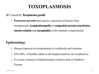 TOXOPLASMOSIS
 Caused by Toxoplasma gondii
– Protozoan parasite that causes a spectrum of disease from
asymptomatic lymphadenopathy to congenital mental retardation,
chorio-retinitis and encephalitis in the immuno-compromised.
Epidemiology
o Human exposure to toxoplasmosis is worldwide and common.
o 20%-40% of healthy adults in developed countries are seropositive.
o It is more common in Mediterranean countries than in Northern
Europe.
02/10/2023 47
 