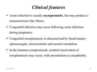 Clinical features
 Acute infection is usually asymptomatic, but may produce a
mononucleosis-like illness.
 Congenital infection may occur following acute infection
during pregnancy.
 Congenital toxoplasmosis is characterised by foetal hepato-
splenomegaly, chorioretinitis and mental retardation.
 In the immuno-compromised, cerebral reactivation of
toxoplasmosis may occur, with presentation as encephalitis.
02/10/2023 48
 
