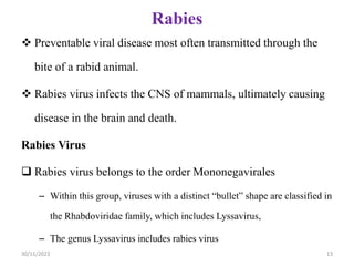 Rabies
 Preventable viral disease most often transmitted through the
bite of a rabid animal.
 Rabies virus infects the CNS of mammals, ultimately causing
disease in the brain and death.
Rabies Virus
 Rabies virus belongs to the order Mononegavirales
– Within this group, viruses with a distinct “bullet” shape are classified in
the Rhabdoviridae family, which includes Lyssavirus,
– The genus Lyssavirus includes rabies virus
30/11/2023 13
 
