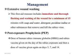 Management
Extensive wound washing
This first-aid measure includes immediate and thorough
flushing and washing of the wound for a minimum of 15
minutes with soap and water, detergent, povidone iodine or
other substances that remove and kill the rabies virus.
Post-exposure Prophylaxis (PEP)
Dose of human rabies immune globulin (HRIG) and rabies
vaccine given on the day of the rabies exposure and then a
dose of vaccine given again on days 3, 7, and 14.
30/11/2023 21
 