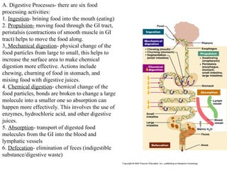 A. Digestive Processes- there are six food
processing activities:
1. Ingestion- brining food into the mouth (eating)
2. Propulsion- moving food through the GI tract,
peristalsis (contractions of smooth muscle in GI
tract) helps to move the food along.
3. Mechanical digestion- physical change of the
food particles from large to small, this helps to
increase the surface area to make chemical
digestion more effective. Actions include
chewing, churning of food in stomach, and
mixing food with digestive juices.
4. Chemical digestion- chemical change of the
food particles, bonds are broken to change a large
molecule into a smaller one so absorption can
happen more effectively. This involves the use of
enzymes, hydrochloric acid, and other digestive
juices.
5. Absorption- transport of digested food
molecules from the GI into the blood and
lymphatic vessels
6. Defecation- elimination of feces (indigestible
substance/digestive waste)
 