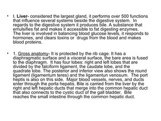 • I. Liver- considered the largest gland, it performs over 500 functions
that influence several systems beside the digestive system. In
regards to the digestive system it produces bile. A substance that
emulsifies fat and makes it accessible to fat digesting enzymes.
The liver is involved in balancing blood glucose levels, it responds to
hormones, and clears toxins or drugs from the blood and makes
blood proteins.
• 1. Gross anatomy- It is protected by the rib cage. It has a
diaphragmatic surface and a visceral surface, the bare area is fused
to the diaphragm. It has four lobes: right and left lobes that are
divided by the falciform ligament, the caudate lobe, and the
quadrate lobe. The posterior and inferior view also shows the round
ligament (ligamentum teres) and the ligamentun venosum. The port
heptis is also on this side. Major blood vessels, nerves, and ducts
enter through the porta hepatis. Bile is carried from the liver by the
right and left hepatic ducts that merge into the common hepatic duct
that also connects to the cystic duct of the gall bladder. Bile
reaches the small intestine through the common hepatic duct.
 