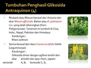  Rhubarb atau Rheum berasal dari rhizoma dan
akar Rheum officinale Bailon atau R. palmatum
Lin. yang telah dikeringkan (Fam :
Poligonaceae). Tanaman ini tumbuh di Cina,
India , Nepal, Pakistan dan Himalaya.
Kandungan :
Rhein anthron
 Senna berasal dari daun Cassia acutifolia Delile
(Leguminosae)
Kandungan :
Glikosida dimer dengan aglikon terdiri dari
aloe emodin dan atau rhein, seperti
senoside A, B, Senoside C, D,
 