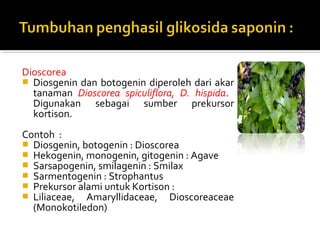 Dioscorea
 Diosgenin dan botogenin diperoleh dari akar
tanaman Dioscorea spiculiflora, D. hispida.
Digunakan sebagai sumber prekursor
kortison.
Contoh :
 Diosgenin, botogenin : Dioscorea
 Hekogenin, monogenin, gitogenin : Agave
 Sarsapogenin, smilagenin : Smilax
 Sarmentogenin : Strophantus
 Prekursor alami untuk Kortison :
 Liliaceae, Amaryllidaceae, Dioscoreaceae
(Monokotiledon)
 