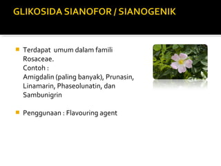  Terdapat umum dalam famili
Rosaceae.
Contoh :
Amigdalin (paling banyak), Prunasin,
Linamarin, Phaseolunatin, dan
Sambunigrin
 Penggunaan : Flavouring agent
 