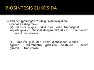 Reaksi penggabungan residu gula pada aglikon.
Terdapat 2 Tahap reaksi :
(1) Transfer gugus uridilil dari uridin triphosphat
kepada gula - 1-phospat dengan dikatalisis oleh enzim
uridilil transferase
(2) Transfer gula dari uridin diphosphat kepada
aglikon membentuk glikosida, dikatalisis enzim
glikosil transferase
 