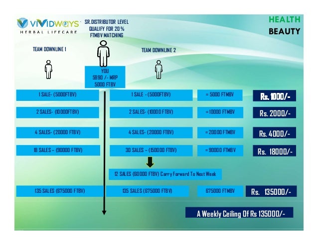 Vividways business plan 08 picture