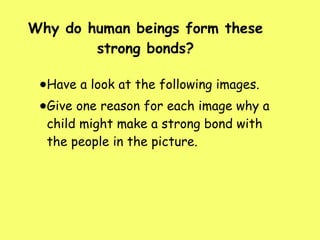 Why do human beings form these strong bonds? ,[object Object],[object Object]