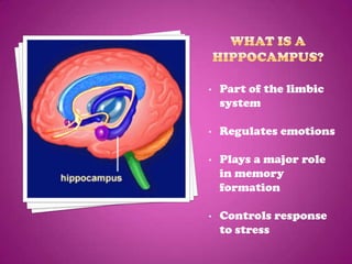 •   Part of the limbic
    system

•   Regulates emotions

•   Plays a major role
    in memory
    formation

•   Controls response
    to stress
 