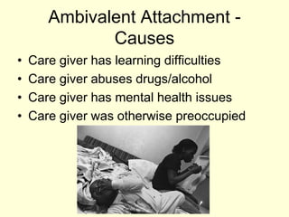 Ambivalent Attachment -
Causes
• Care giver has learning difficulties
• Care giver abuses drugs/alcohol
• Care giver has mental health issues
• Care giver was otherwise preoccupied
 