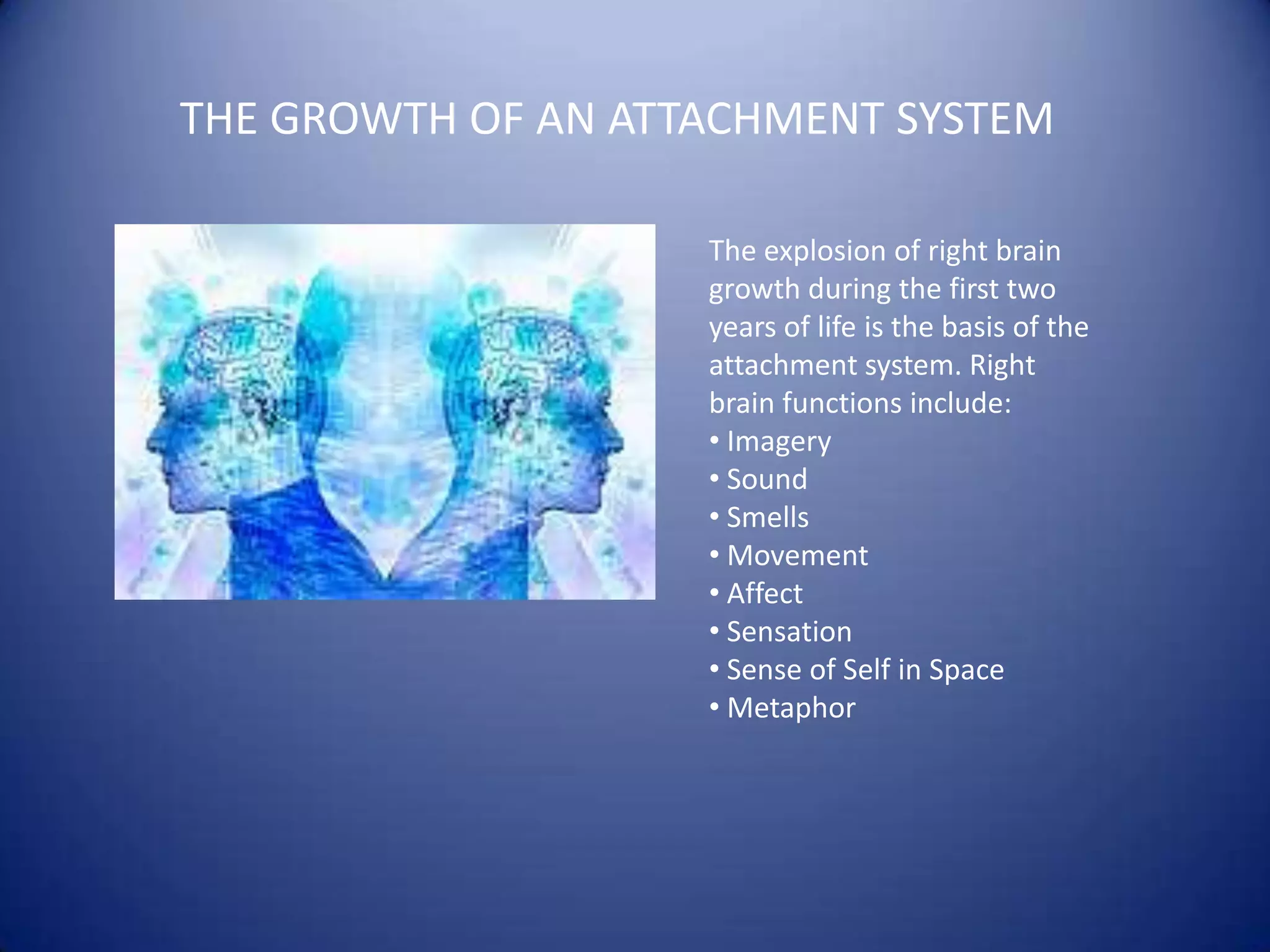  Autonomic Nervous System