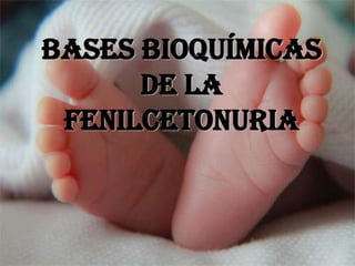 BASES BIOQUÍMICAS
      DE LA
 FENILCETONURIA
 