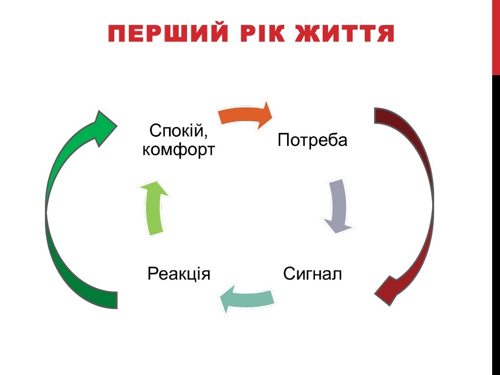 Защита гранта презентация