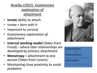 Bowlby (1952)- Evolutionary
              explanation of
                attachment
•   Innate ability to attach
•   Innate = born with it
•   Important to survival
•   Evolutionary explanation of
    attachment
•   Internal working model (Taken from
    Freud) – where later relationships are   Social releasers
    developed by primary attachment                     +
                                             Parental instinct
•   Monotropy – attachment to one
    person (Taken from Lorenz)               ATTACHMENT
•   Maintaining close proximity to avoid
    predation
 