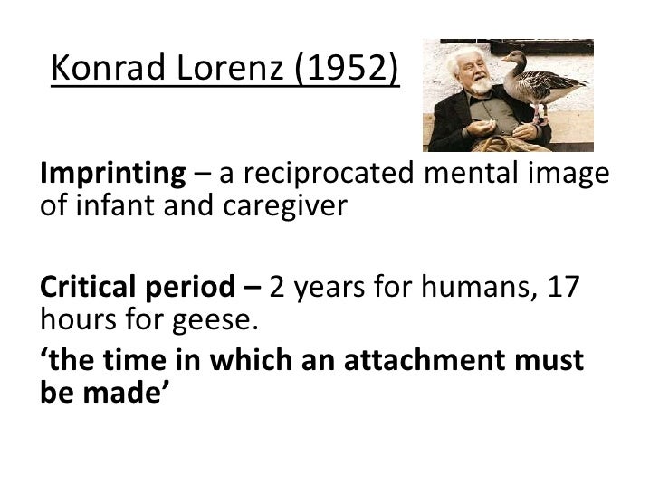 Lorenz Geese And Attachment John Bowlby s Attachment Theory EFBUXL Lorenz Geese And Attachment John Bowlby s Attachment Theory EFBUXL