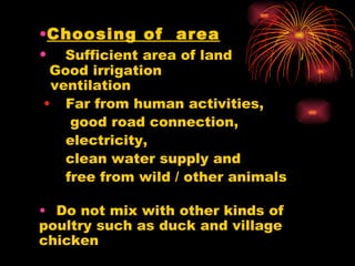Choosing of  area     Sufficient area of land    Good irrigation    ventilation    Far from human activities,    good road connection,  electricity,  clean water supply and  free from wild / other animals   Do not mix with other kinds of poultry such as duck and village chicken     