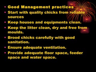 Good Management practices Start with quality chicks from reliable sources Keep houses and equipments clean. Keep the litter clean, dry and free from moulds. Brood chicks carefully with good sanitation. Ensure adequate ventilation. Provide adequate floor space, feeder space and water space. 