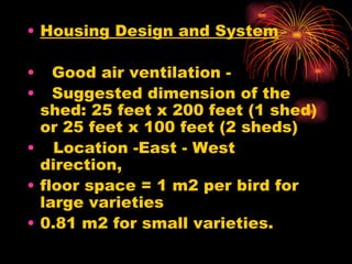 Housing Design and System  Good air ventilation -  Suggested dimension of the shed: 25 feet x 200 feet (1 shed) or 25 feet x 100 feet (2 sheds)   Location -East - West direction,  floor space = 1 m2 per bird for large varieties  0.81 m2 for small varieties.  