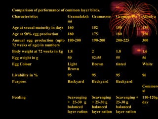 110-120g/day Scavenging + 25-30 g  balanced layer ration Scavenging + 25-30 g  balanced layer ration Scavenging + 25-30 g  balanced layer ration  Feeding Commercial Backyard Backyard Backyard Purpose 96 95 95 95 Livability in % White tinted Brown Light Brown Egg Colour 56 55 52-55 50 Egg weight in g 1.6 1.8 2 1.8 Body weight at 72 weeks in kg 300 200-225 190-200 180-200 Annual egg production (upto 72 weeks of age) in numbers 150 180 175 180 Age at 50% egg production 139 150 152 160 Age at sexual maturity in days Athulya Gramapriya Gramasree Gramalakshmi Characteristics Comparison of performance of common layer birds. 