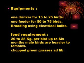 Equipments : one drinker for 15 to 25 birds. one feeder for 50 to 75 birds. Brooding using electrical bulbs. feed requirement  : 20 to 25 Kg. per bird up to Six months male birds are heavier to females.  chopped green grasses ad lib 