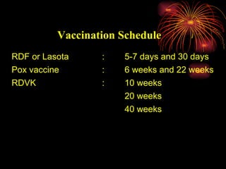 RDF or Lasota : 5-7 days and 30 days Pox vaccine : 6 weeks and 22 weeks RDVK : 10 weeks 20 weeks 40 weeks Vaccination Schedule 