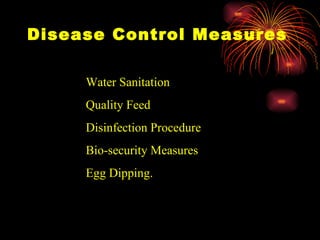 Disease Control Measures Water Sanitation  Quality Feed Disinfection Procedure Bio-security Measures Egg Dipping.  