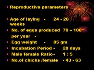 Reproductive parameters Age of laying - 24 - 28 weeks No. of eggs produced  70 – 100   per year - Egg weight - 85 gm Incubation Period - 28 days Male female Ratio - 1 : 5 No.of chicks /female - 43 - 63 