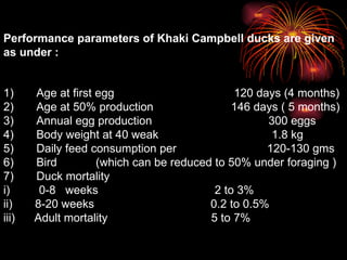 1)       Age at first egg                                     120 days (4 months) 2)       Age at 50% production                        146 days ( 5 months) 3)       Annual egg production                                    300 eggs 4)       Body weight at 40 weak                                   1.8 kg 5)       Daily feed consumption per                            120-130 gms 6)       Bird            (which can be reduced to 50% under foraging ) 7)       Duck mortality i)         0-8   weeks                                    2 to 3% ii)       8-20 weeks                                    0.2 to 0.5% iii)      Adult mortality                                5 to 7%   Performance parameters of Khaki Campbell ducks are given as under : 