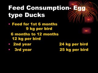 Feed Consumption- Egg type Ducks Feed for 1st 6 months                           9 kg per bird    6 months to 12 months                         12 kg per bird 2nd year                      24 kg per bird    3rd year                      25 kg per bird 