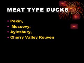 MEAT TYPE DUCKS Pekin, Muscovy,  Aylesbury,  Cherry Valley Rouven 