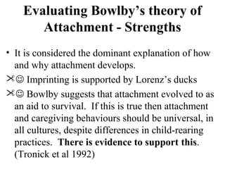 Evaluating Bowlby’s theory of 
Attachment - Strengths 
• It is considered the dominant explanation of how 
and why attachment develops. 
 Imprinting is supported by Lorenz’s ducks 
 Bowlby suggests that attachment evolved to as 
an aid to survival. If this is true then attachment 
and caregiving behaviours should be universal, in 
all cultures, despite differences in child-rearing 
practices. There is evidence to support this. 
(Tronick et al 1992) 
 