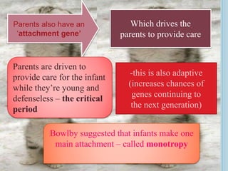 Attachment theory | PPTX