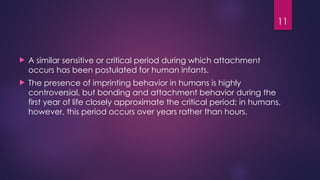 11
 A similar sensitive or critical period during which attachment
occurs has been postulated for human infants.
 The presence of imprinting behavior in humans is highly
controversial, but bonding and attachment behavior during the
first year of life closely approximate the critical period; in humans,
however, this period occurs over years rather than hours.
 