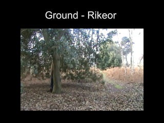 Ground - Rikeor   